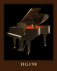 Hailun grand 6 foot 5